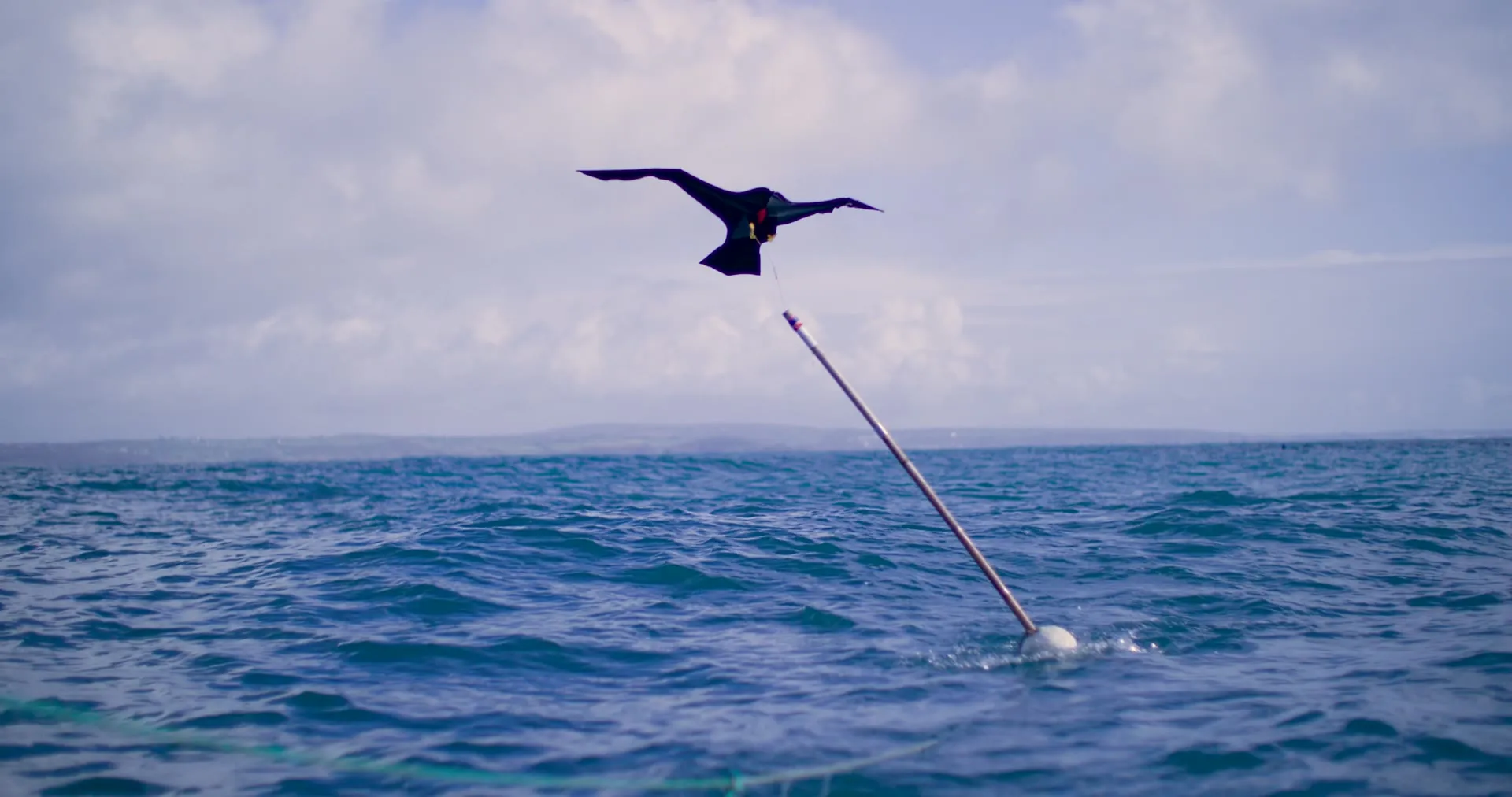 Cometa negra con forma de ave rapaz volando sobre el mar, sujeta a un mástil que sale de una boya