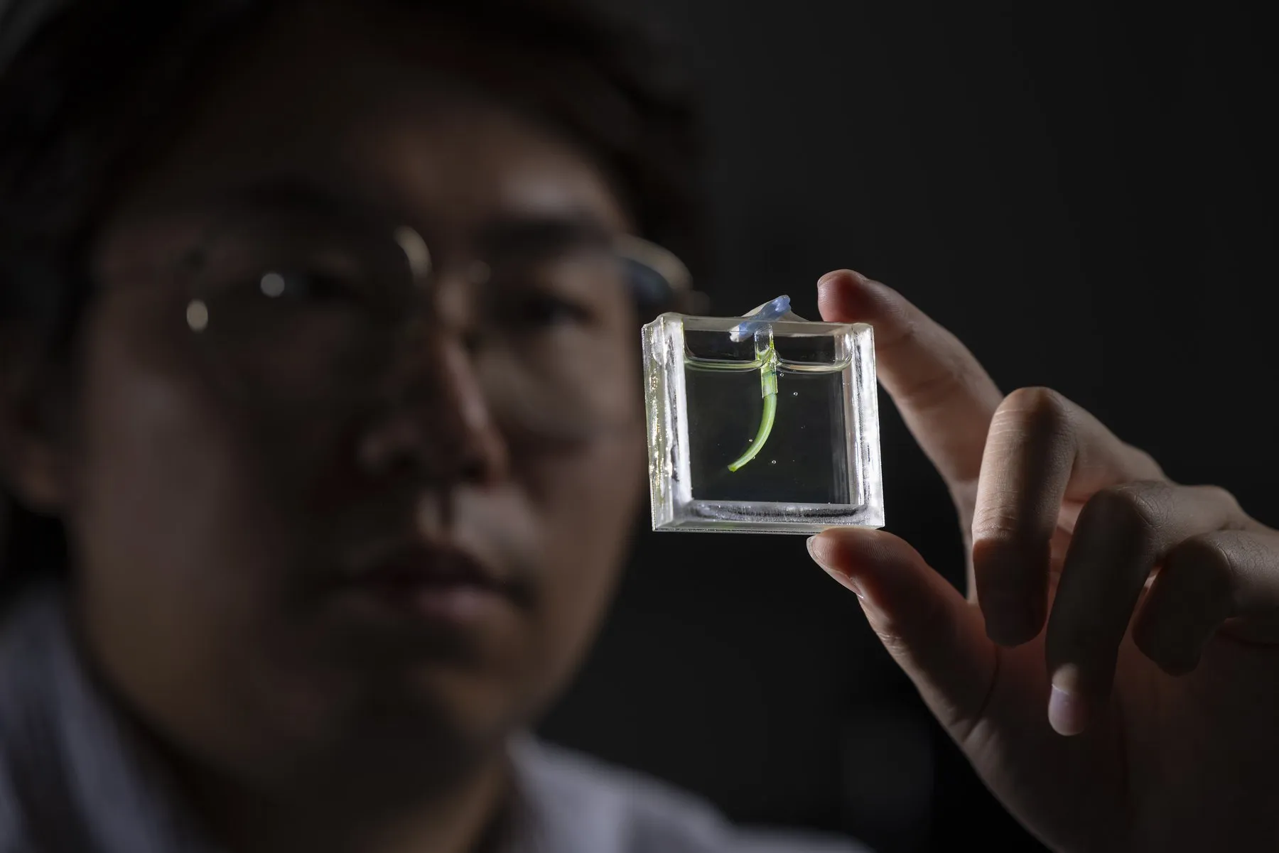El investigador Fan Jiang junto al montaje del experimento