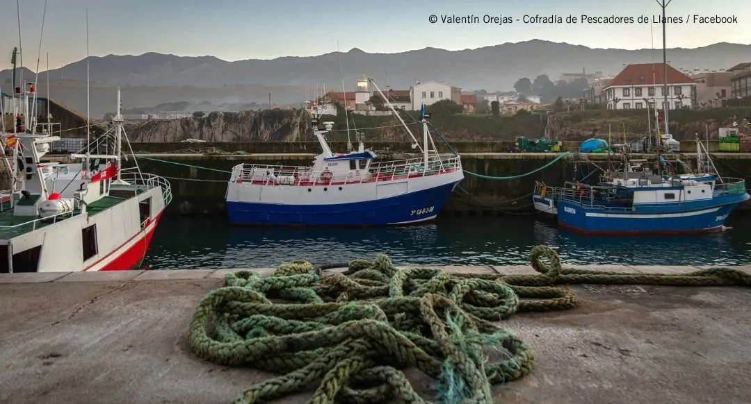 Pesqueros amarrados en el puerto de Llanes al amanecer, con un cabo verde enrollado sobre el muelle y montañas al fondo