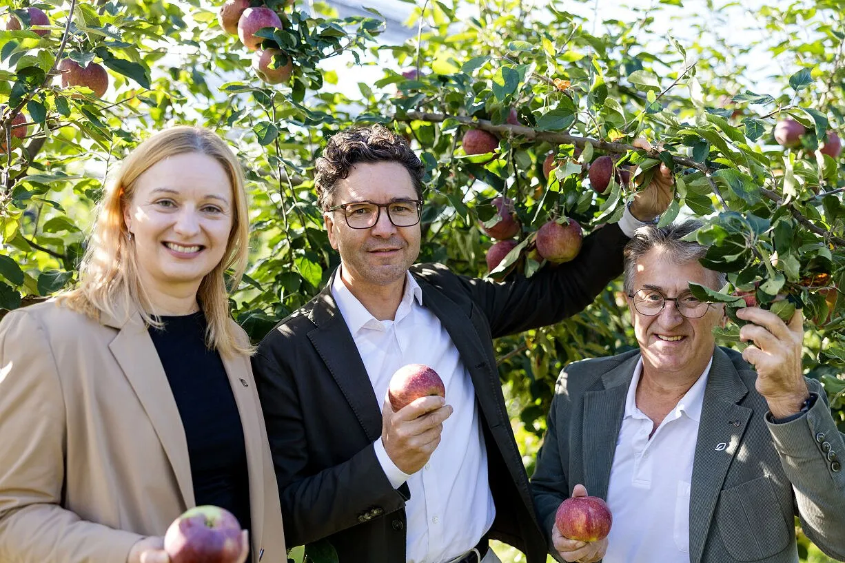 Una mujer y dos hombres sonríen bajo un manzano cargado de manzanas, con fruta en la mano