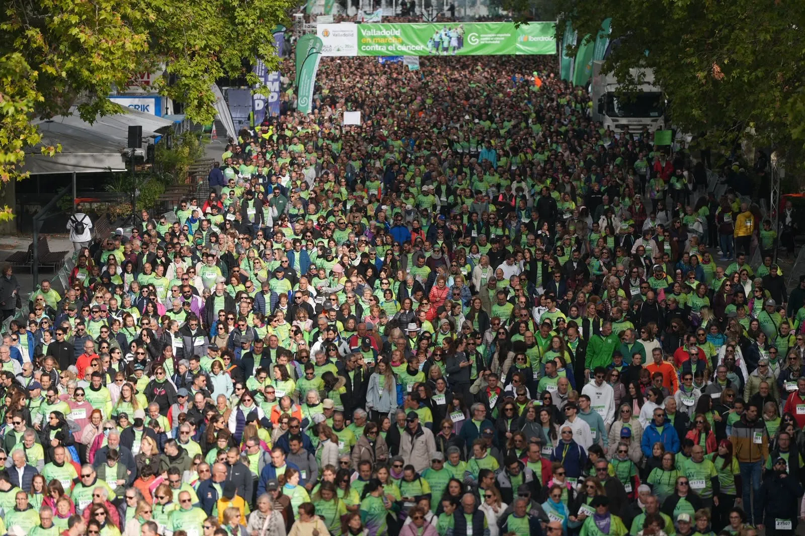 Miles de personas con camisetas verdes llenan una avenida arbolada de Valladolid bajo una pancarta que dice «Valladolid en marcha contra el cáncer»