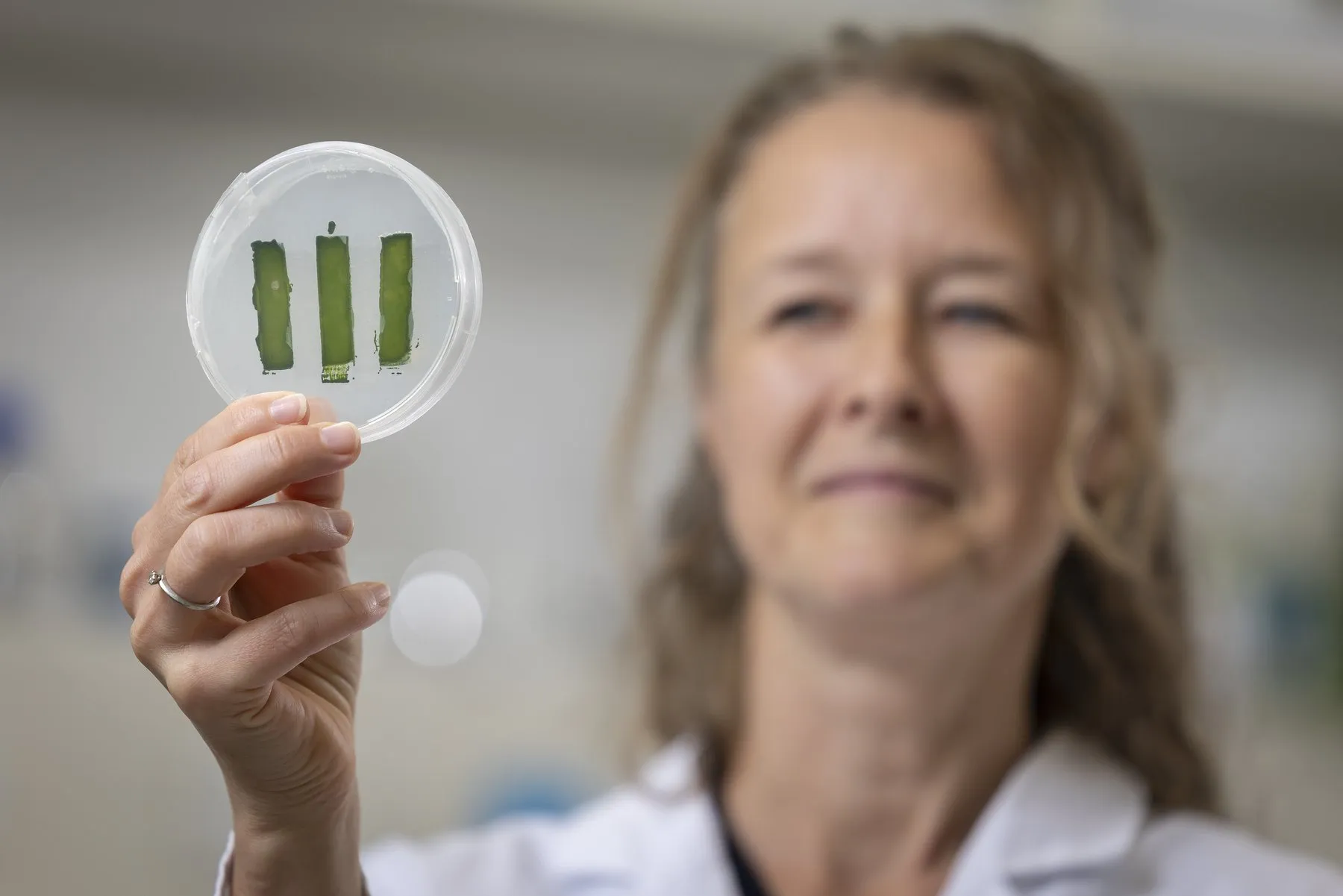 Marie-Eve Aubin-Tam sostiene una placa de laboratorio con microalgas