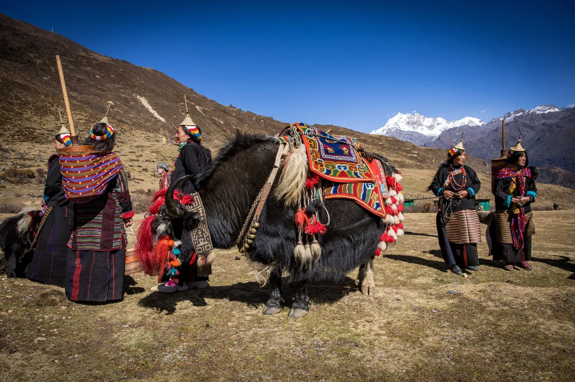 Pastoras con trajes tradicionales de rayas y sombreros cónicos junto a un yak engalanado con mantas de colores, con montañas nevadas al fondo