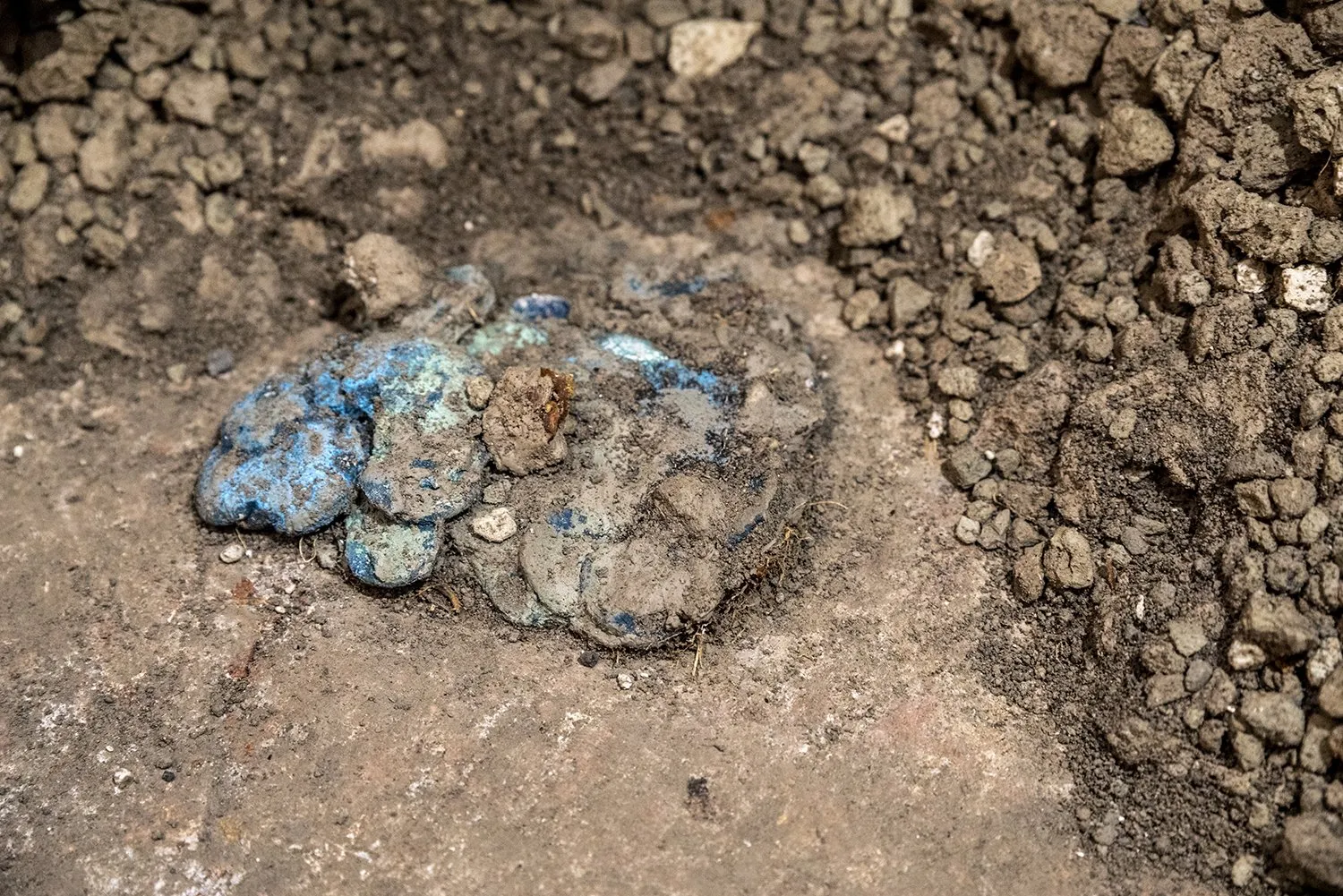 Montón de monedas de bronce cubiertas de óxido verde y azul sobre la tierra de la excavación