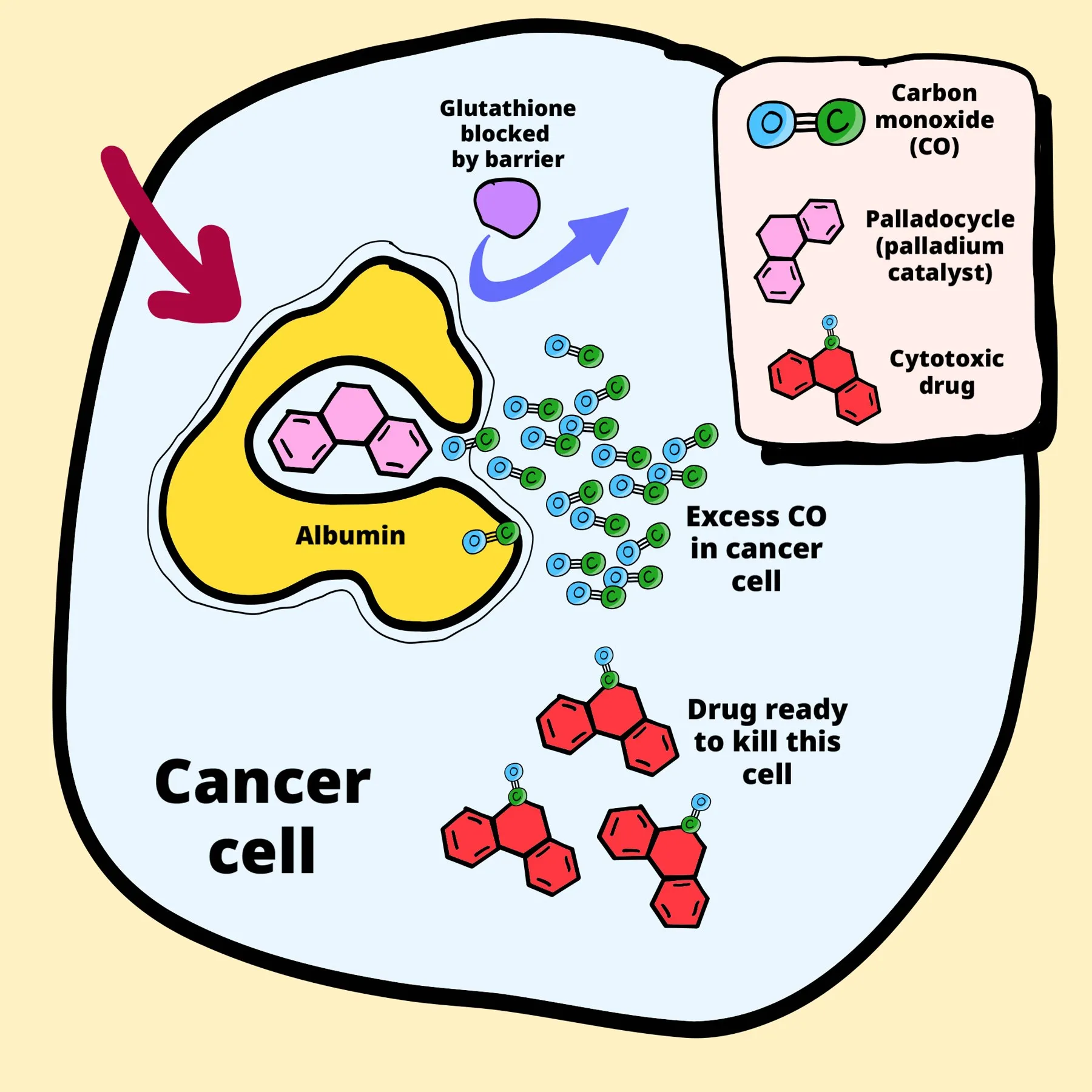 Dibujo de una célula cancerosa: dentro, una proteína amarilla con un catalizador de paladio captura moléculas de monóxido de carbono y las convierte en un fármaco rojo
