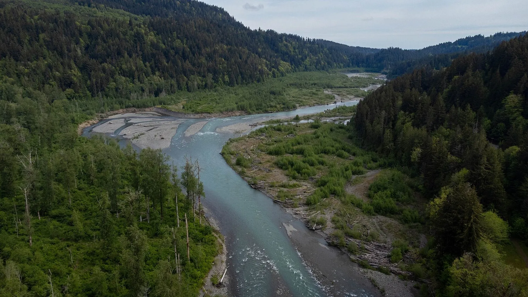Un río de aguas claras recorre un valle con bosque a ambos lados